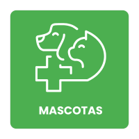 mascotas curacavi